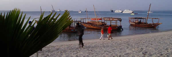 Guests on Leisurely Evening Walk at The Beach